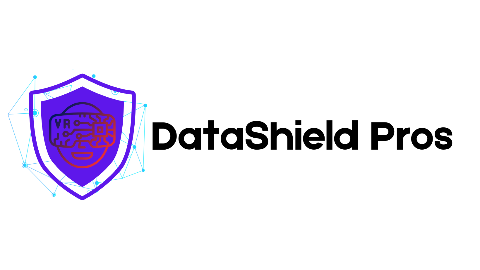 DataShield Pros